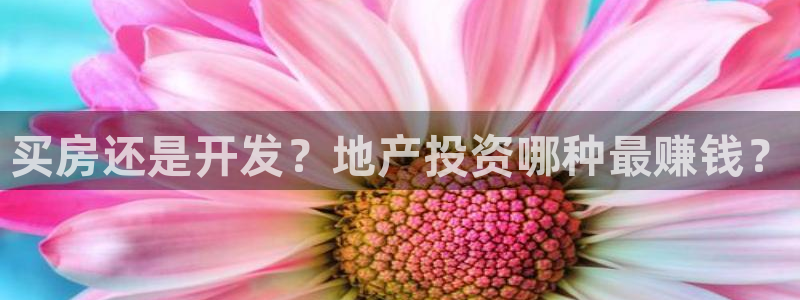 永利背一分