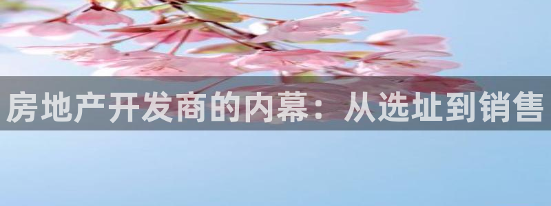永利皇府黄立青简历