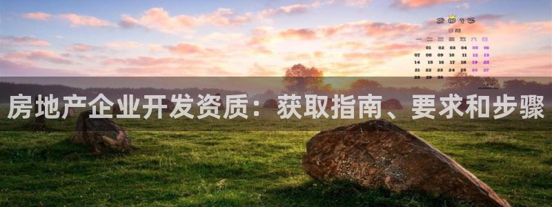 永利皮带