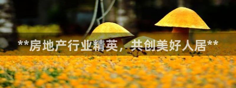 永利杯掼蛋比赛