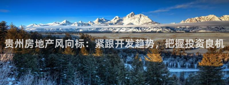 永利皮带报价