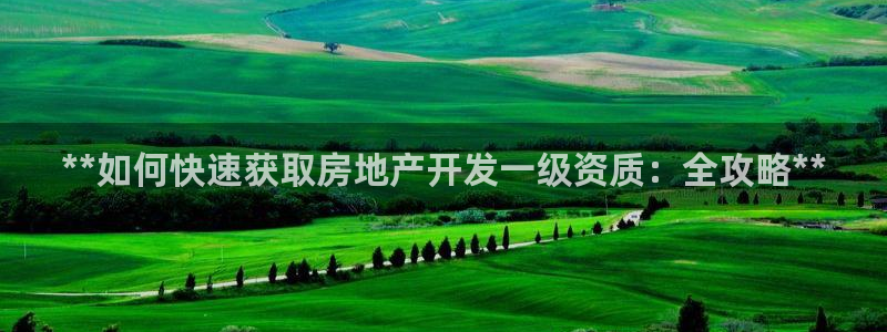 永利皮带报价