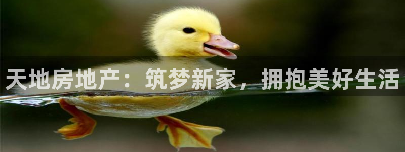 永利汇团购