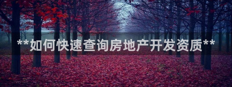 永利网会员