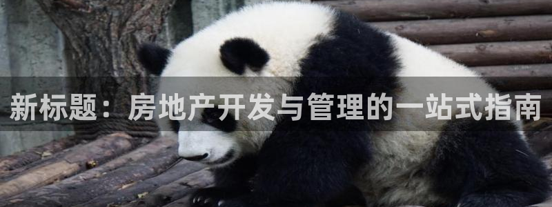 佛山永利工业皮带