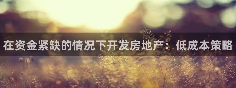 永利皮带官网价格查询表