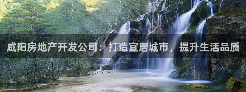 永利公司是做什么的