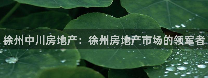 永利正版