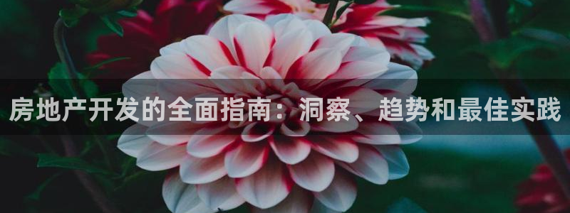 澳门永利 陈志玲