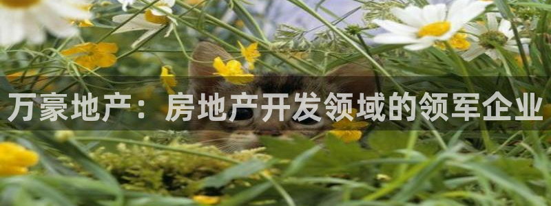 澳门 永利