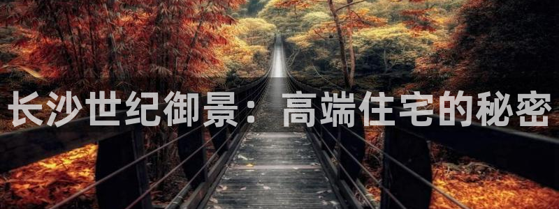 在永利无法出款怎么办