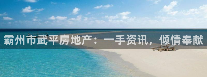 永利集团董事长