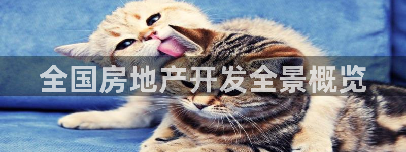 永利被黑不给出款解决方法