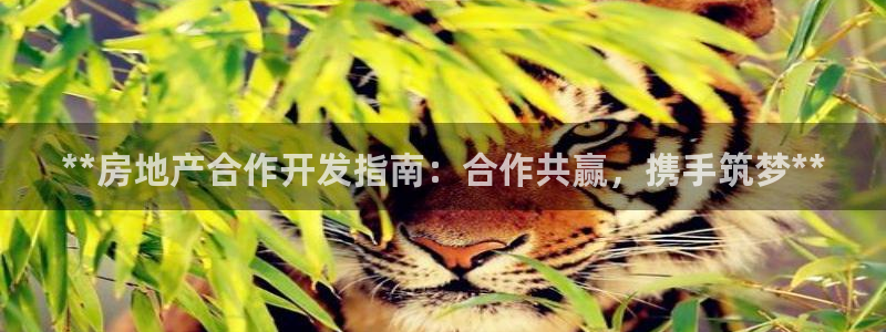 永利官网