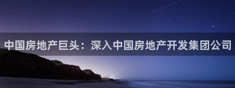 永利是做什么的