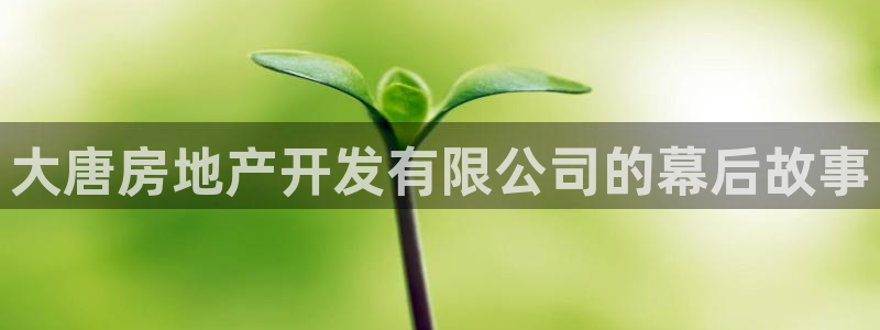 永利建材有限公司