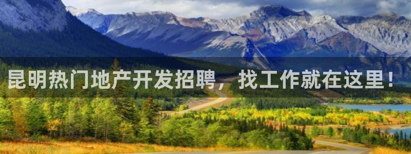 永利股份做什么