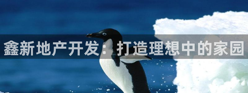 永利钻石会员