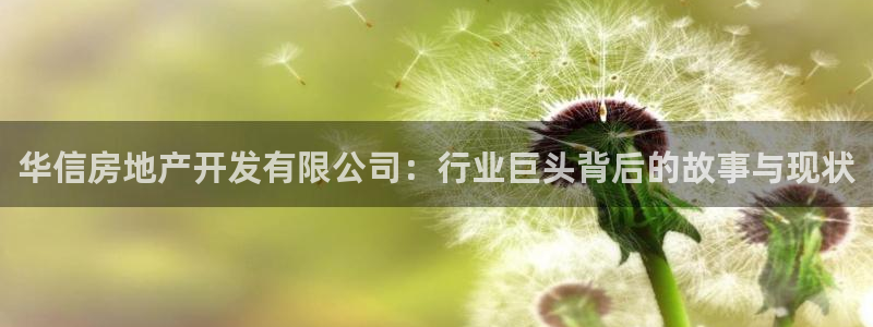 永利pc网址