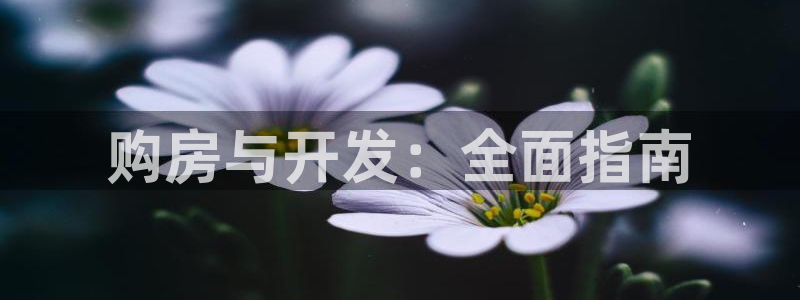 永利杯掼蛋