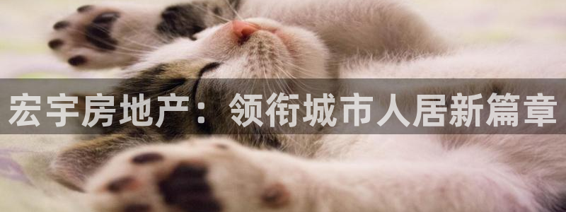 永利表行
