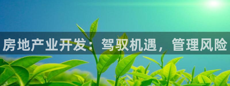 永利网是干什么的,能挣到钱吗安全吗