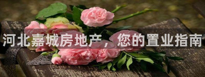 永利输的钱可以弄回来吗是真的吗