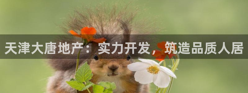 永利总裁