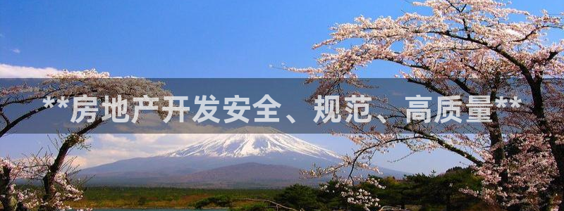 永利正版