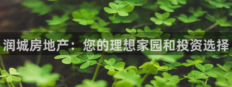 永利车业有限公司