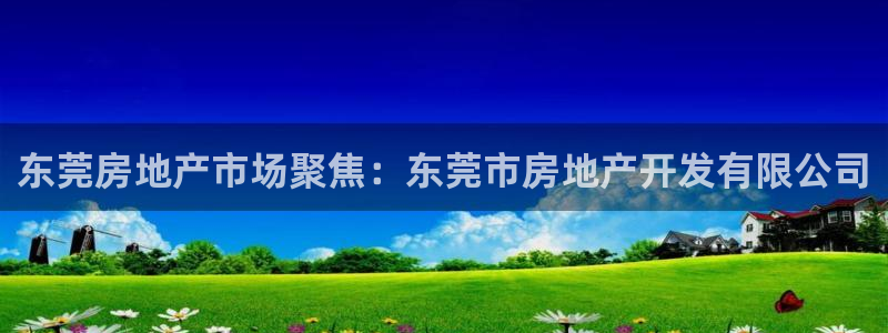 永利皮带官网价格查询