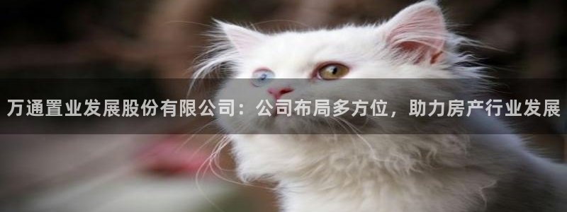 佛山永利工业皮带厂怎么样