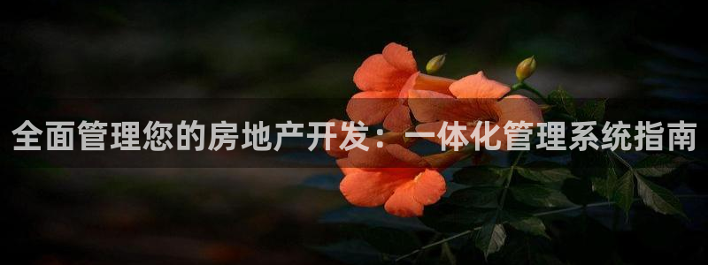 永利睹钱