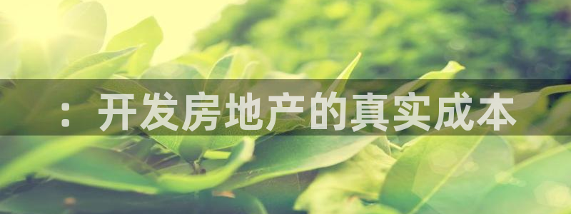 永利中国东北菜