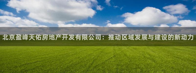 永利保险公司排名