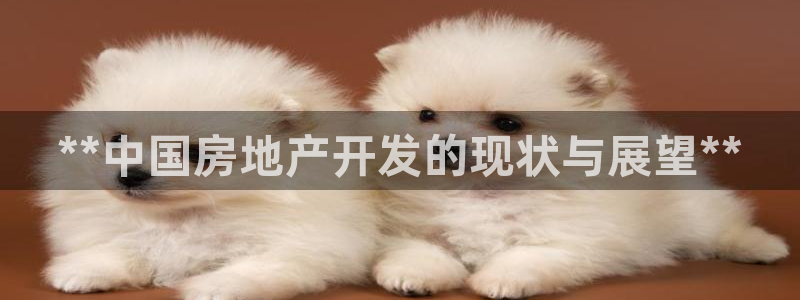 永利输的钱可以弄回来吗