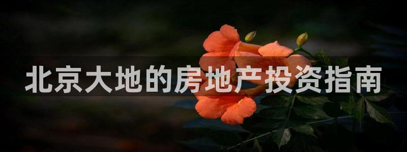 永利打不开
