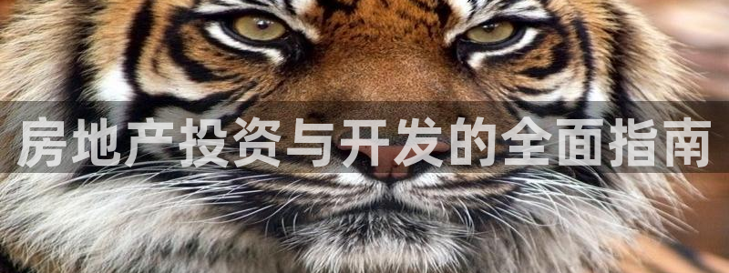 永利箱包厂