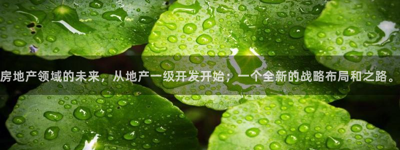 永利投资合法吗