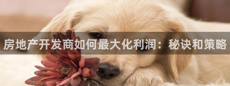 永利建筑材料有限责任公司