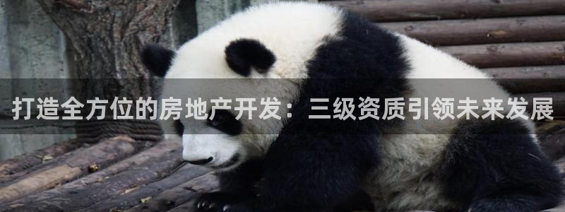 永利老板的名字叫什么名字