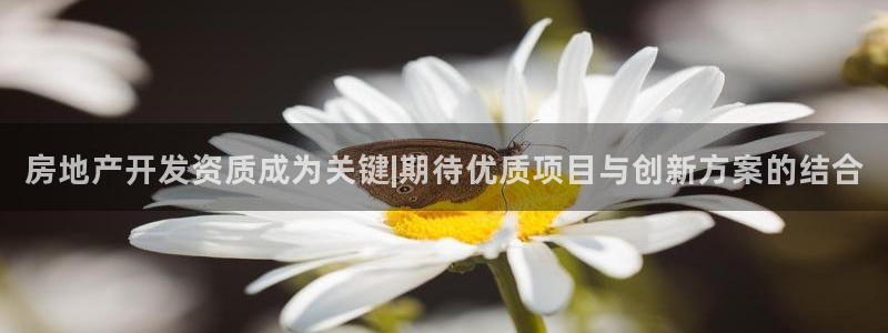 永利汇客房价格