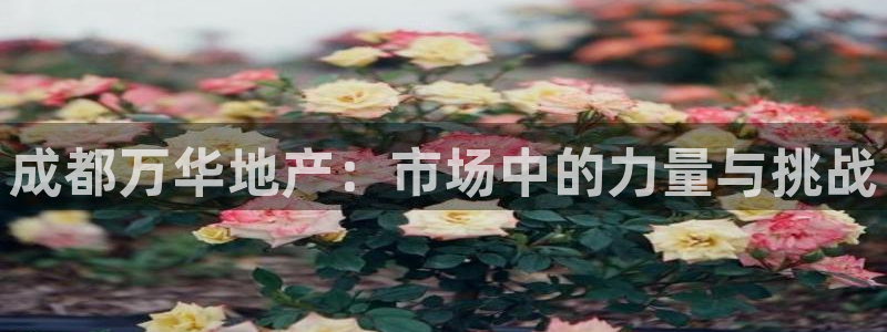 永利官网正网