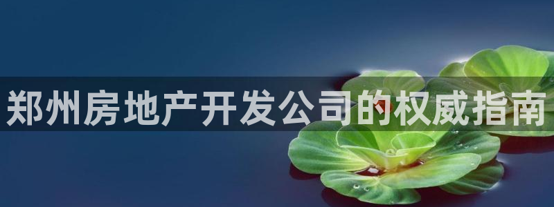 永利汇有什么服务