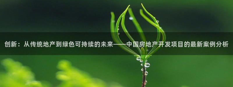永利制带