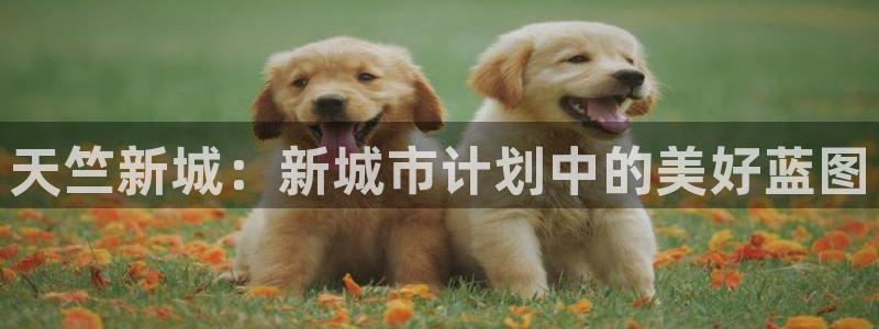 永利不给提款怎么办?