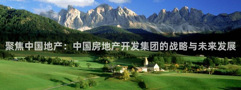 永利厂牌