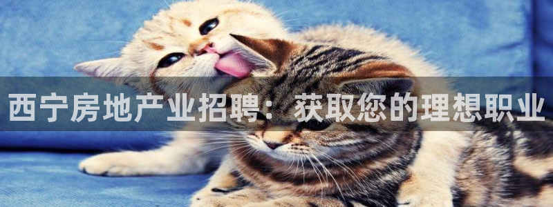 永利官方网招聘最新消息查询