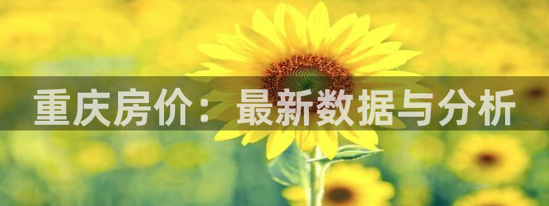 浙江永利集团董事长
