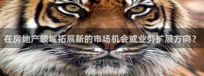 永利皮革有限公司